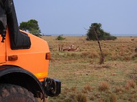 DSCN2445