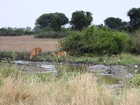 DSCN2474