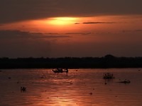 DSCN3083