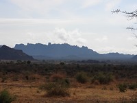 DSCN3131