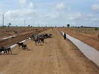 DSCN3133