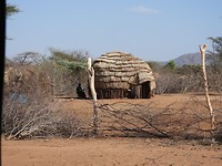 DSCN3176