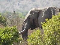 DSCN3343_01
