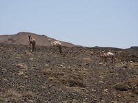 DSCN3517_01