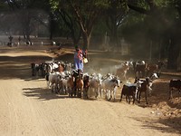DSCN3449_01