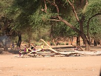 DSCN3432