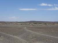 DSCN3538_01