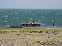 DSCN3529_01