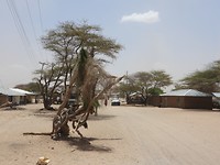 DSCN3665