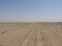 DSCN3616