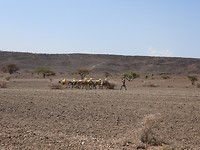 DSCN3591_01