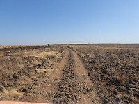 DSCN3574