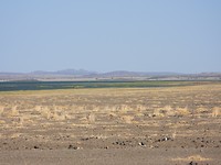 DSCN3563_01