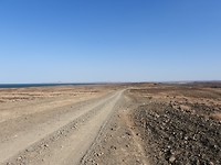 DSCN3554