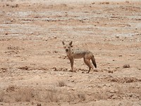 DSCN3673