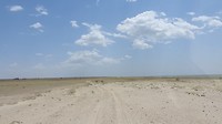 DSCN3758