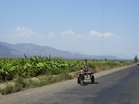DSCN4136