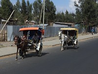 DSCN4263
