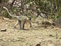 DSCN4690