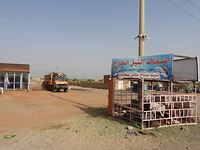 DSCN4874