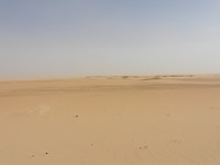 DSCN4947