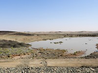 DSCN4969