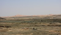 DSCN4965