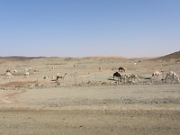 DSCN4963