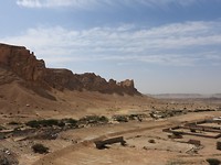 DSCN4980