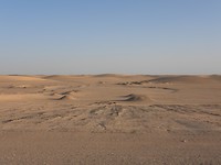 DSCN4991