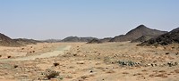DSCN4957