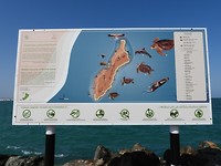 DSCN5841
