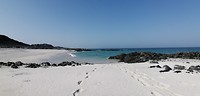 IMG_20190530_160612
