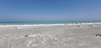 IMG_20190528_111739