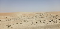 IMG_20190526_105434