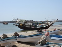 DSCN5784