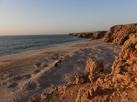 DSCN5754