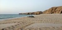 IMG_20190526_050242