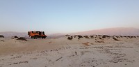 IMG_20190525_054950