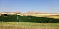 IMG_20190628_110711 (2)