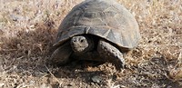 IMG_20190627_182426