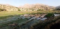 IMG_20190624_185457