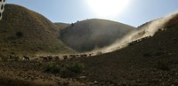 IMG_20190629_091508