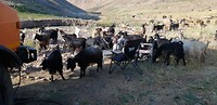 IMG_20190629_074801