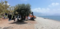 IMG_20190730_120542