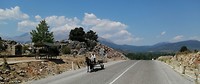 IMG_20190801_113638