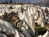 DSCN6377