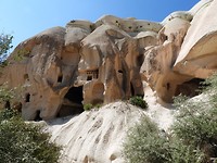 DSCN6625