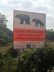 IMG_20190810_165128