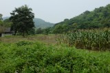 omgeving chiang rai